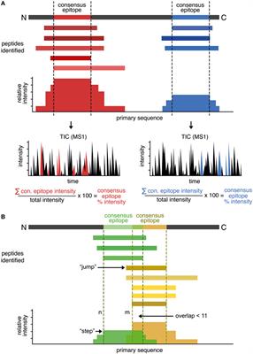 Quantification of HLA-DM-Dependent Major Histocompatibility Complex of Class II Immunopeptidomes by the Peptide Landscape Antigenic Epitope Alignment Utility